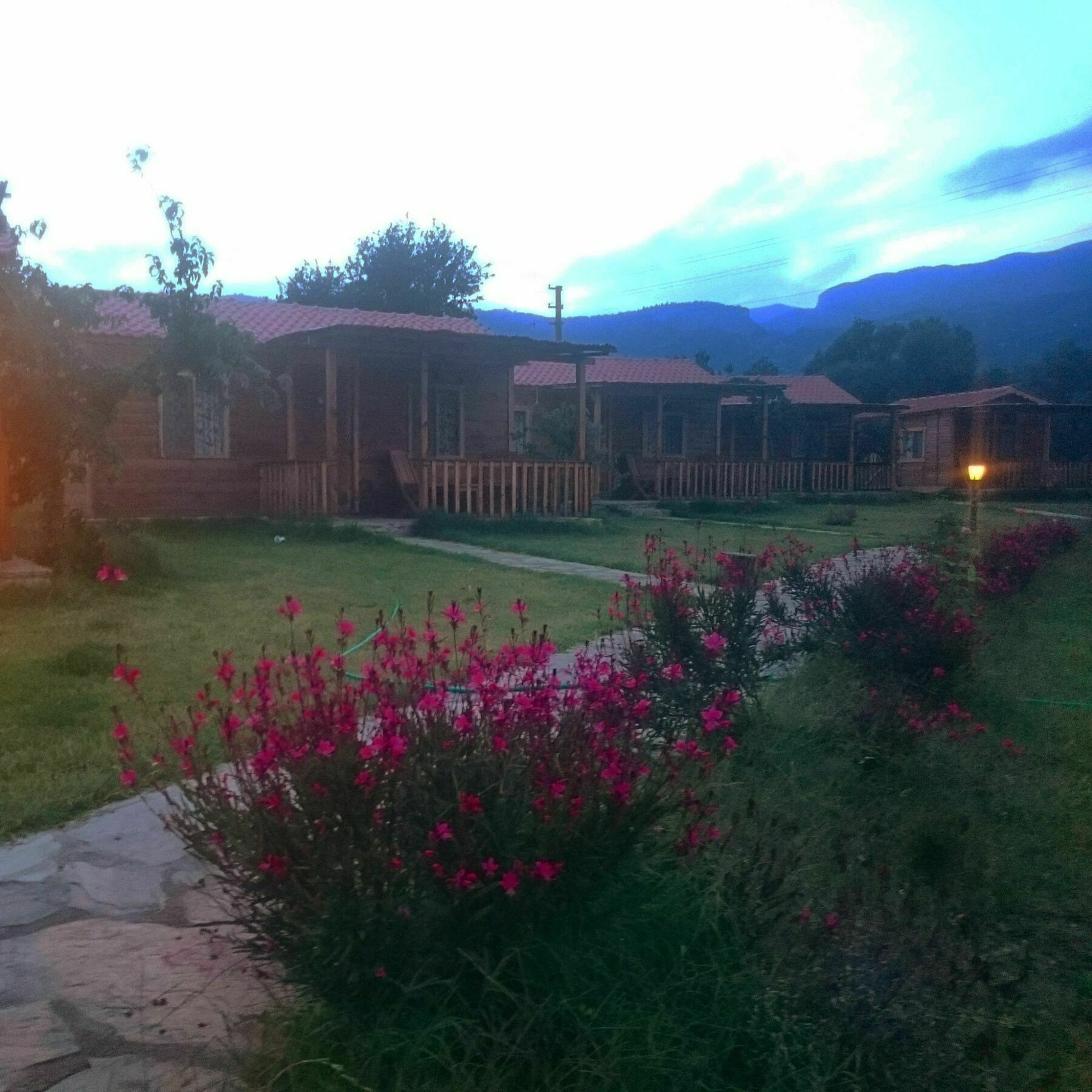 Ipekce Tatil Evleri Mesudiye  Exterior foto